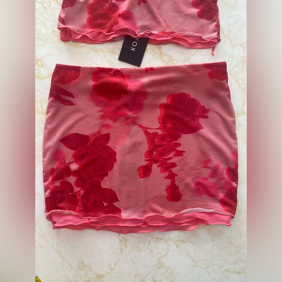 NWT White Fox Blush Rose Mesh Mini Skirt SET - Picture 6 of 12